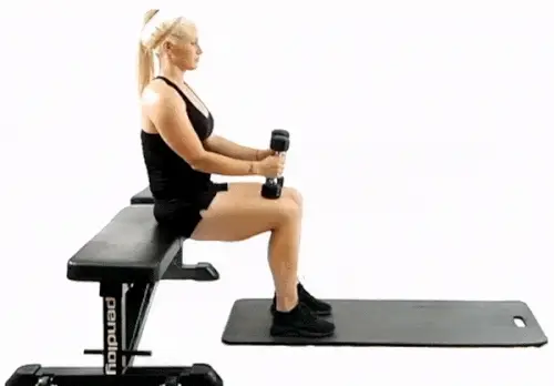Seated Dumbbells Calf Raise