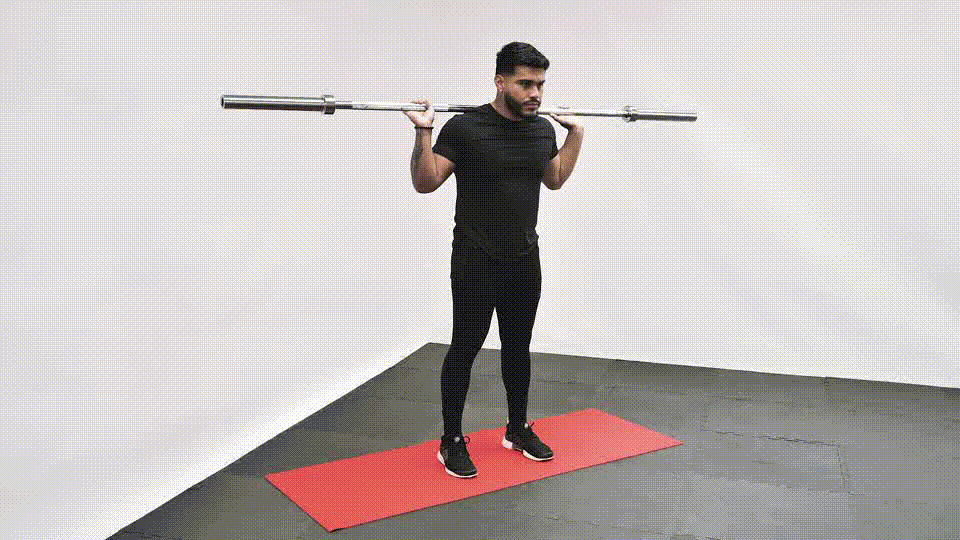 barbell calf raises