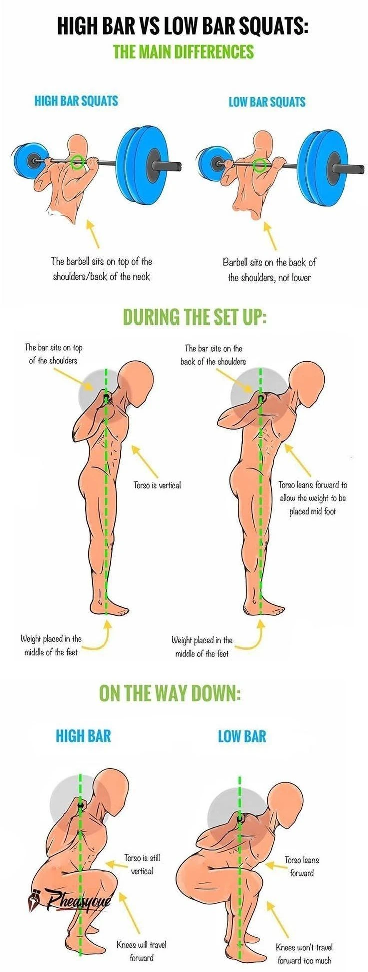 High bar vs low bar squat placement difference for powerlifting