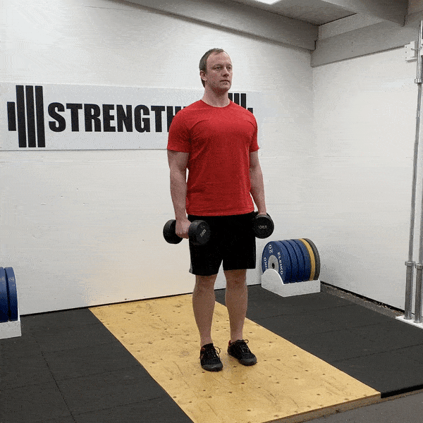 哑铃V字举（Dumbbell V Raise）完全指南