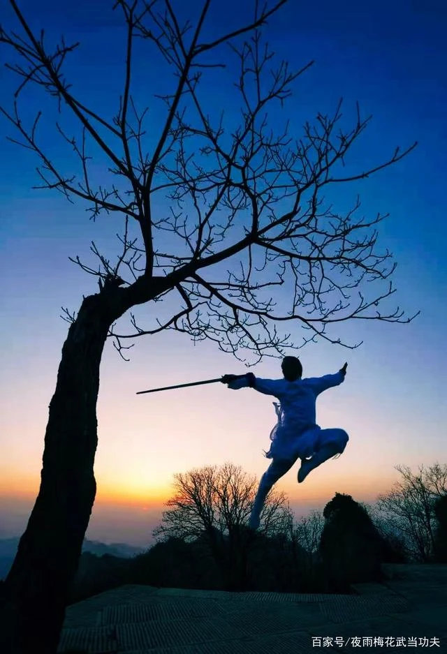 The Taoist Engine: Philosophy in Motion